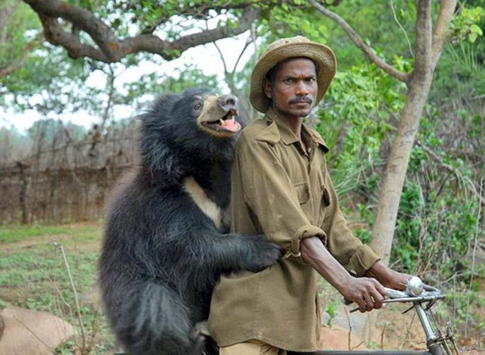 Things You Will Only See In India (49 pics)