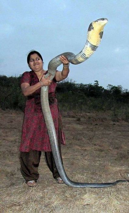 Things You Will Only See In India (49 pics)