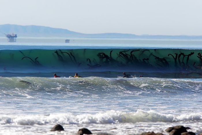 Photos That Are Terrifying Because They Are Real (15 pics)