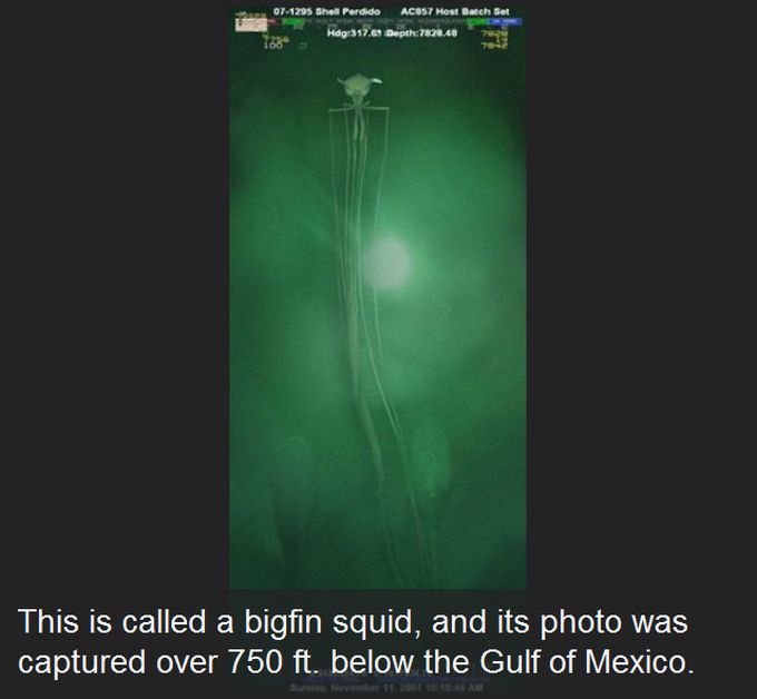 Photos That Are Terrifying Because They Are Real (15 pics)