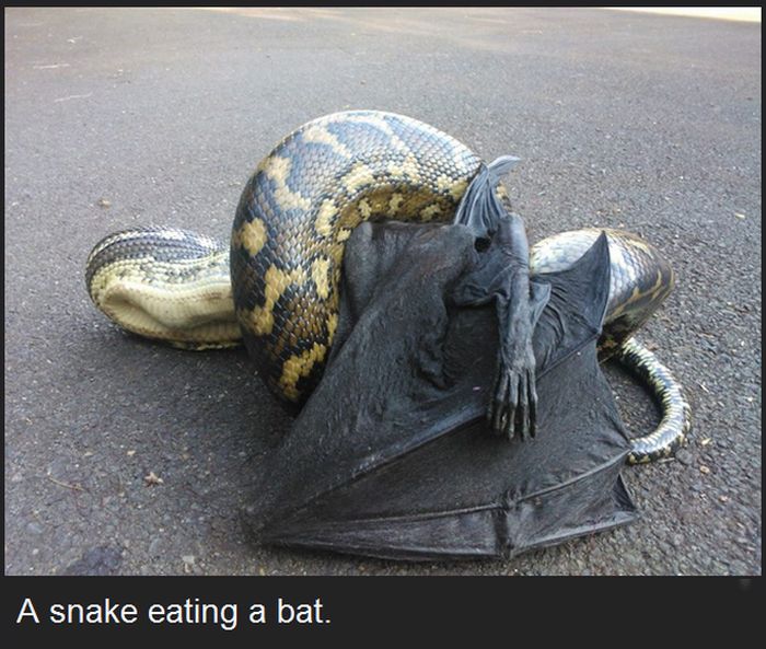 Photos That Are Terrifying Because They Are Real (15 pics)