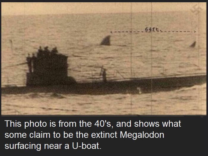 Photos That Are Terrifying Because They Are Real (15 pics)