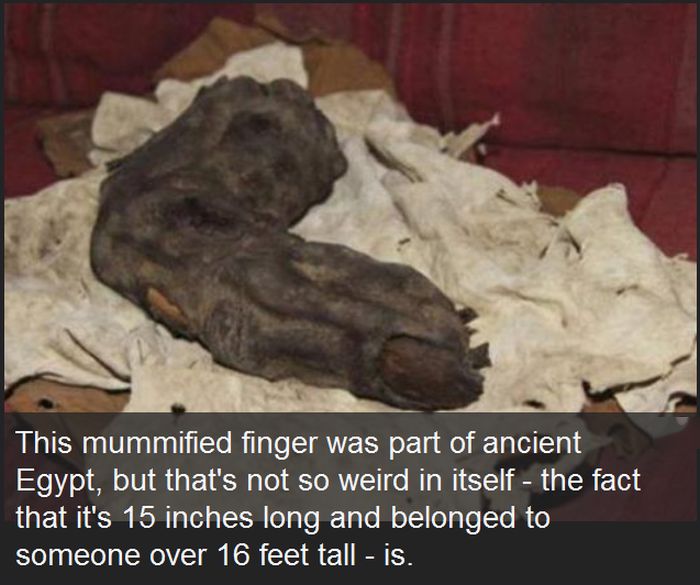 Photos That Are Terrifying Because They Are Real (15 pics)