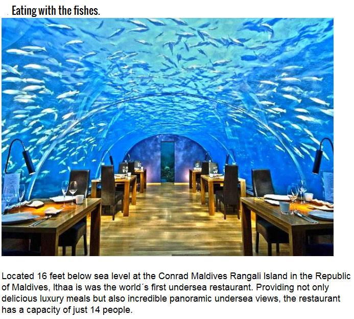 The Most Unique Dining Experiences In The World (25 pics)