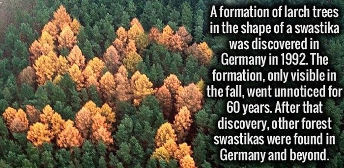 A Healthy Dose Of Facts For Your Brain (35 pics)