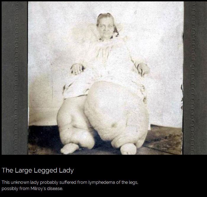 An Inside Look At American Freak Shows (22 pics)