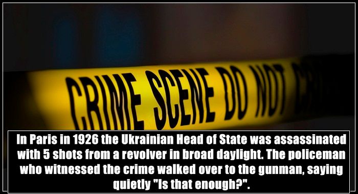 True Facts About Crime All Over The World 25 Pics 