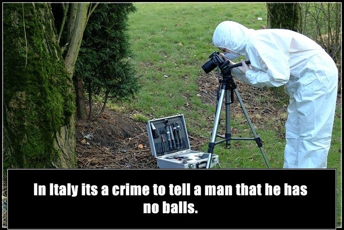 True Facts About Crime All Over The World (25 pics)