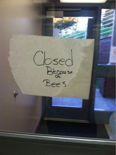 Oh Sh#t (43 pics)