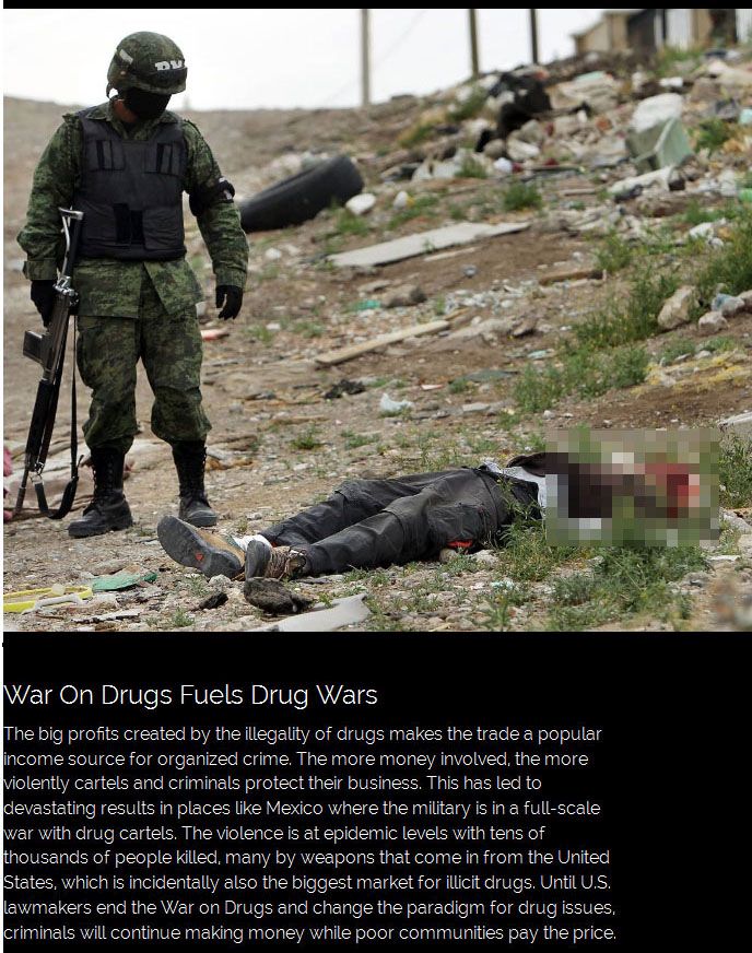 Proof That The War On Drugs Is A Big Failure (14 pics)