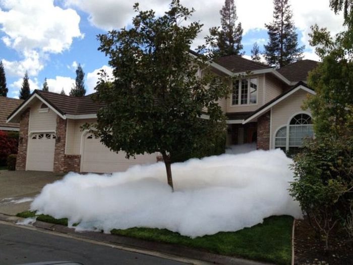 Acid Picdump (97 pics)