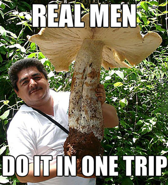 Acid Picdump (97 pics)