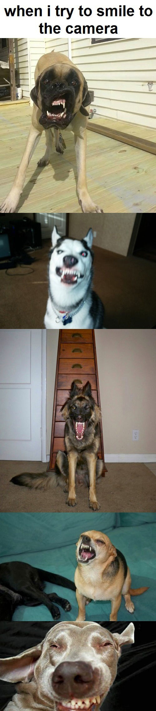 Acid Picdump (97 pics)