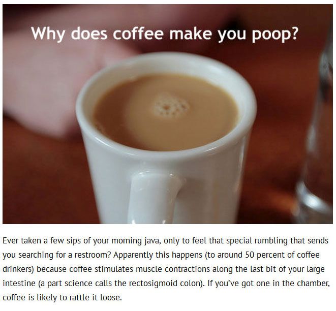 Science Has Answered 17 Questions You're Embarrassed To Ask (17 pics)