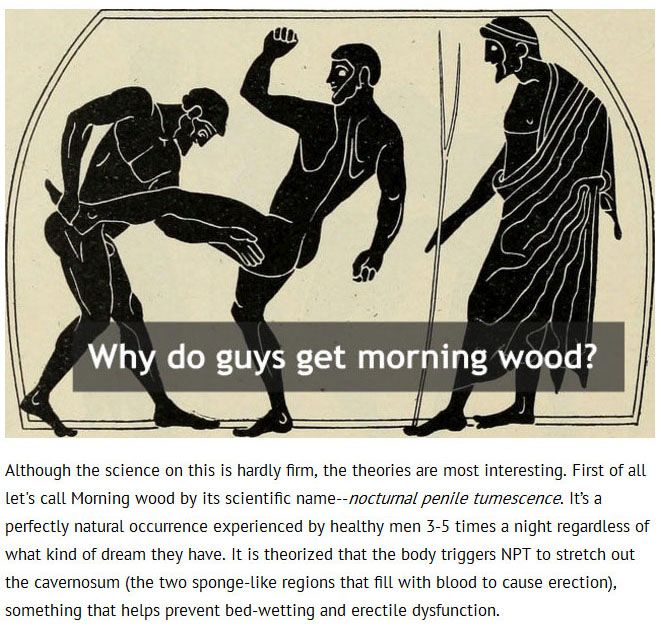 Science Has Answered 17 Questions You're Embarrassed To Ask (17 pics)