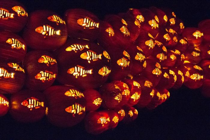 Amazing Display Of 5,000 Carved Pumpkins  (30 pics)