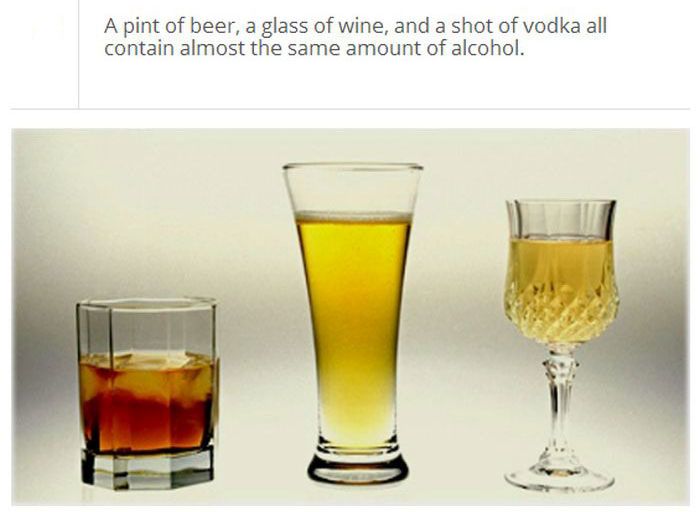 Amazing And Fun Facts About Alcohol (25 pics)