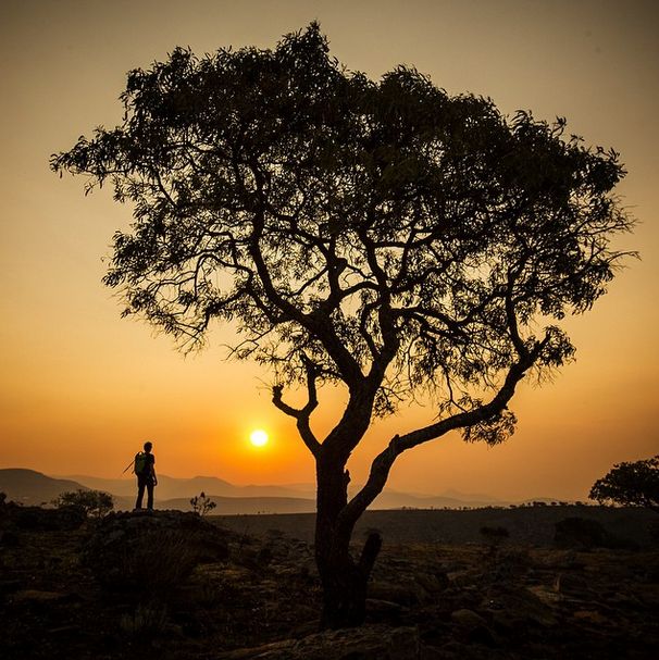 Amazing National Geographic Photos By Jimmy Chin (40 pics)