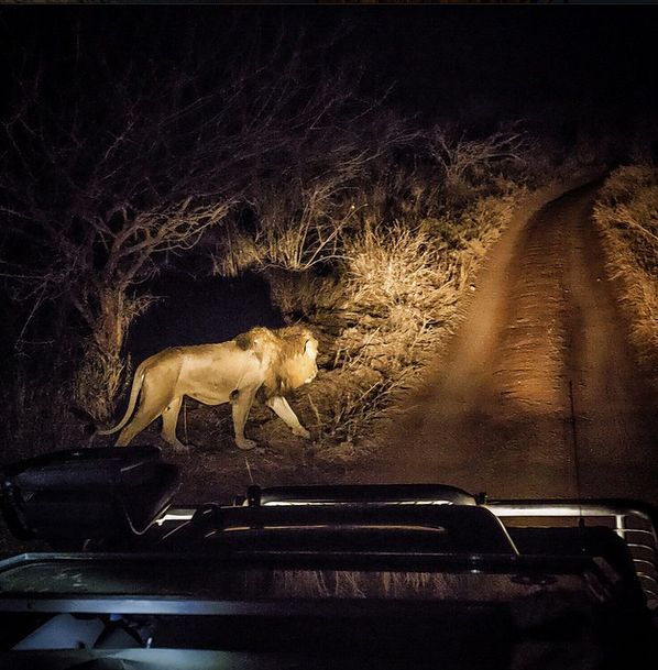 Amazing National Geographic Photos By Jimmy Chin (40 pics)