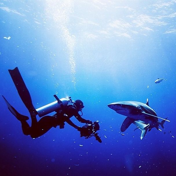 Amazing National Geographic Photos By Jimmy Chin (40 pics)