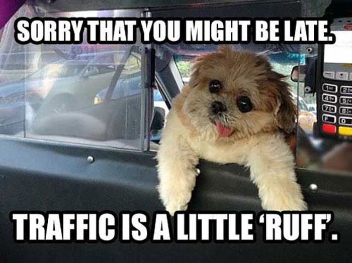 These Bad Puns Are Borderline Genius (33 pics)