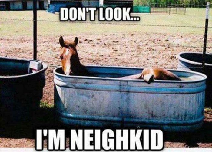 These Bad Puns Are Borderline Genius (33 pics)