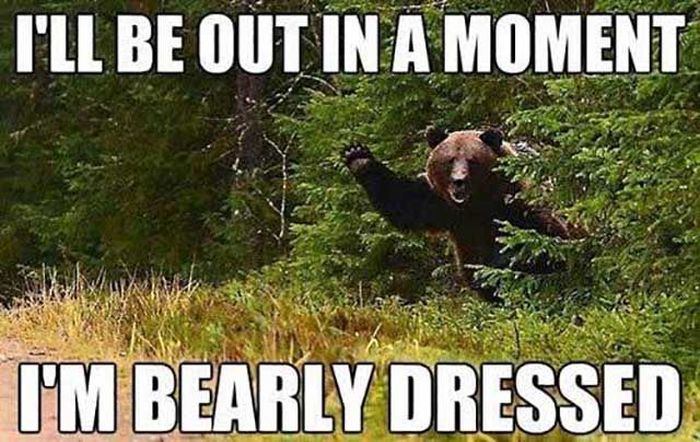 These Bad Puns Are Borderline Genius (33 pics)