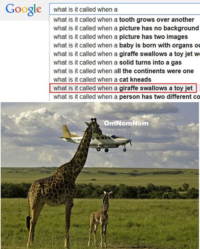 The Best Of Google Autocomplete (20 pics)