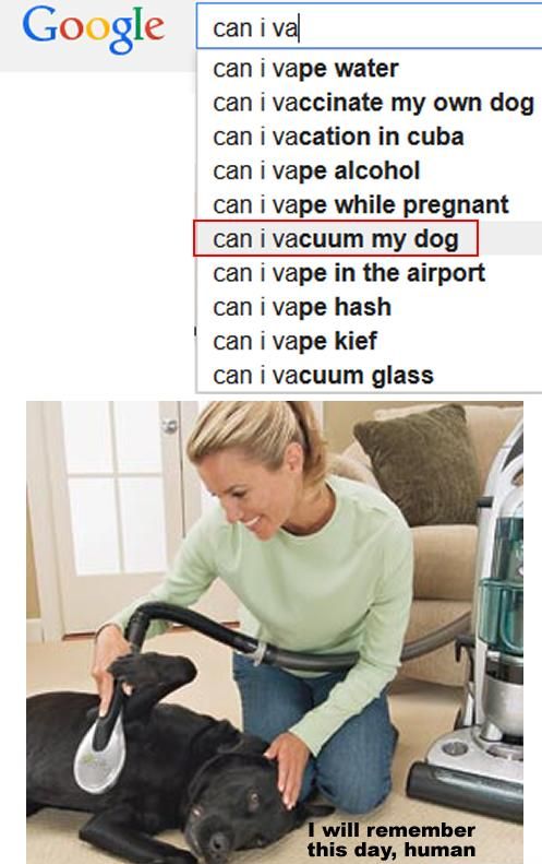 The Best Of Google Autocomplete (20 pics)