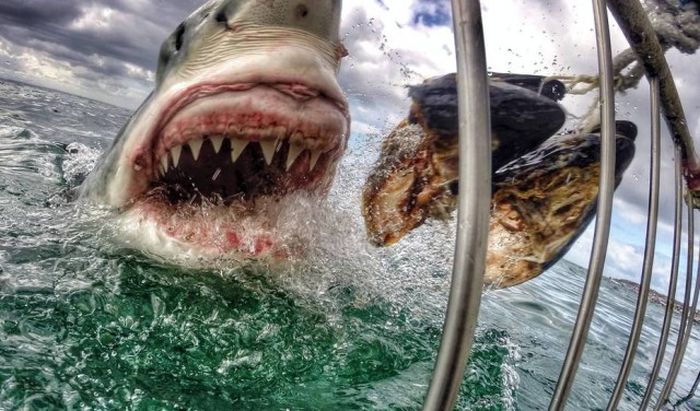 The Most Extreme Photos Of October 2014 (32 pics)