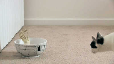These Scary Pranks Are Just Too Good (31 gifs)