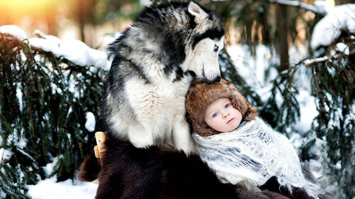 Big Dogs and Little Kids (46 pics)