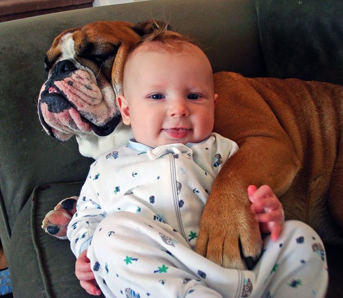 Big Dogs and Little Kids (46 pics)