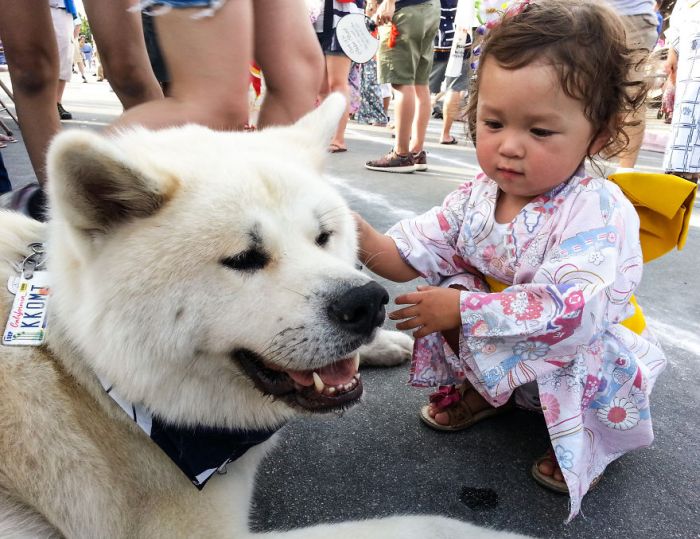 Big Dogs and Little Kids (46 pics)