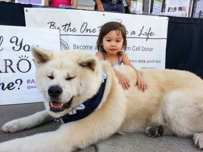 Big Dogs and Little Kids (46 pics)