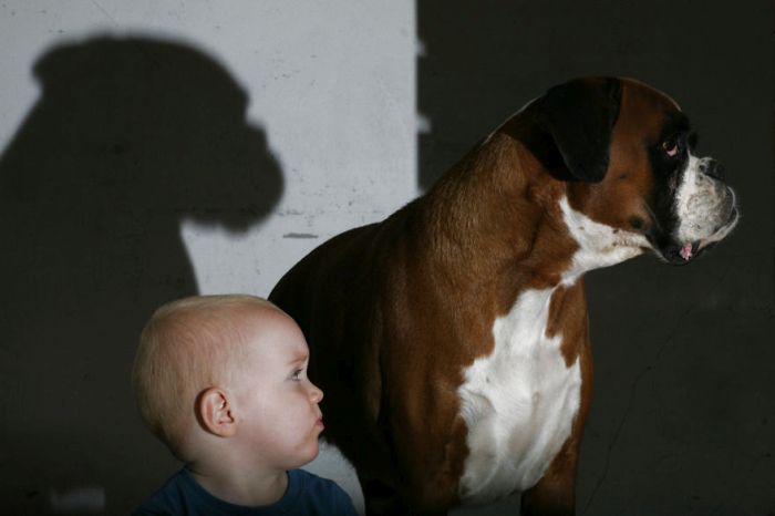 Big Dogs and Little Kids (46 pics)