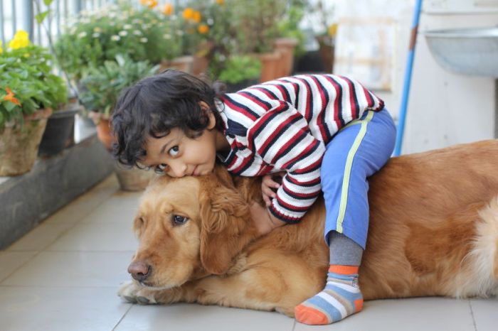 Big Dogs and Little Kids (46 pics)