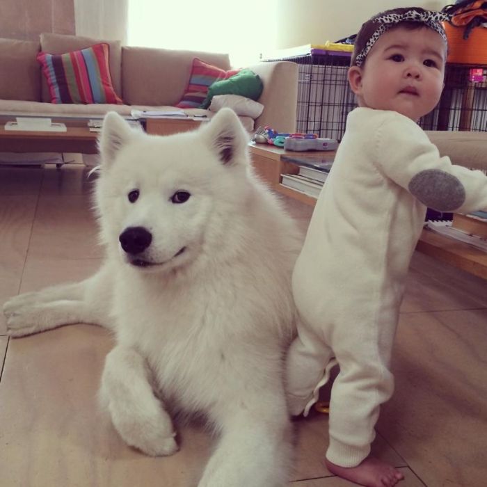 Big Dogs and Little Kids (46 pics)