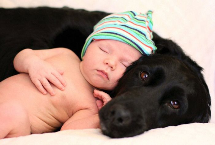 Big Dogs and Little Kids (46 pics)