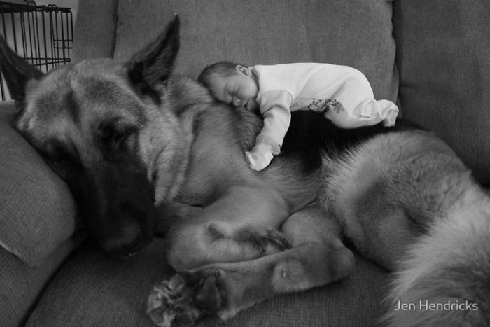 Big Dogs and Little Kids (46 pics)