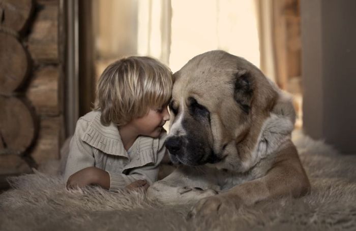 Big Dogs and Little Kids (46 pics)