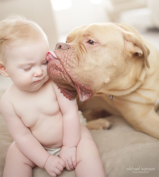 Big Dogs and Little Kids (46 pics)