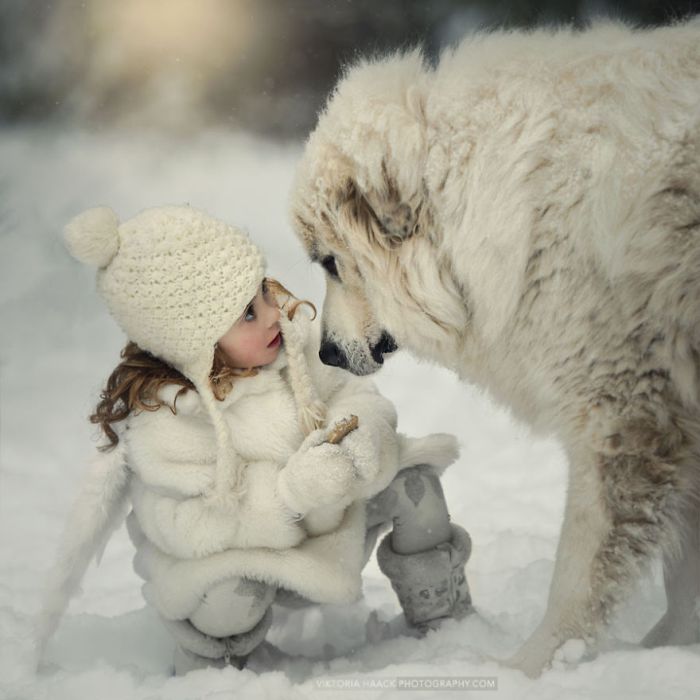 Big Dogs and Little Kids (46 pics)