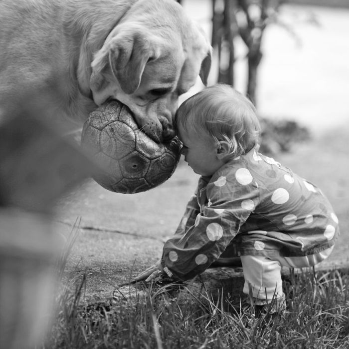 Big Dogs and Little Kids (46 pics)