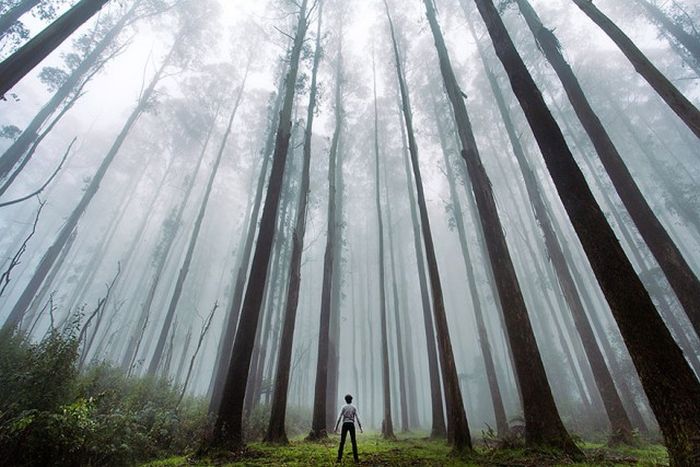 Amazing Pictures Of Humans In Nature (70 pics)