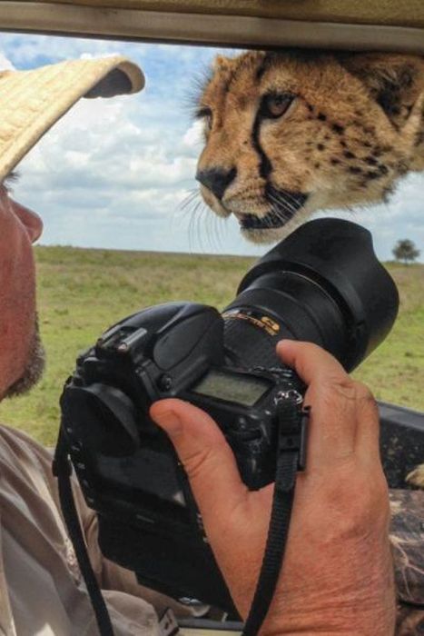 Oh Sh#t Situations (42 pics)