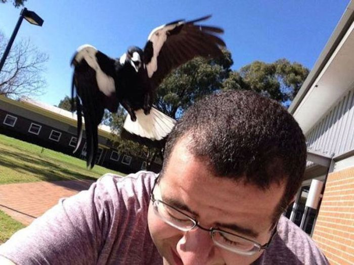 Oh Sh#t Situations (42 pics)
