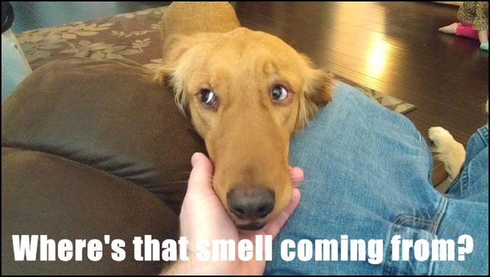 Innocent Phrases That Have A Different Meaning When You're Naked (24 pics)