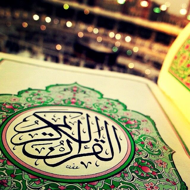 Instagram Pictures From Qatar (42 pics)