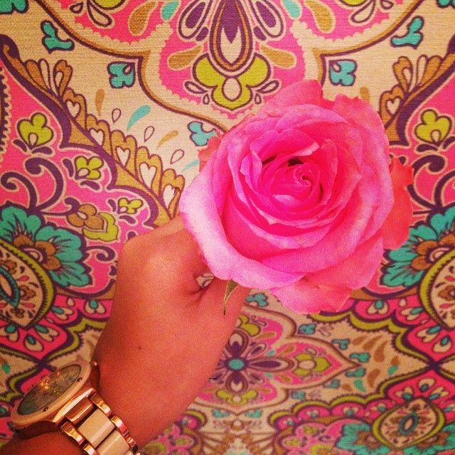Instagram Pictures From Qatar (42 pics)
